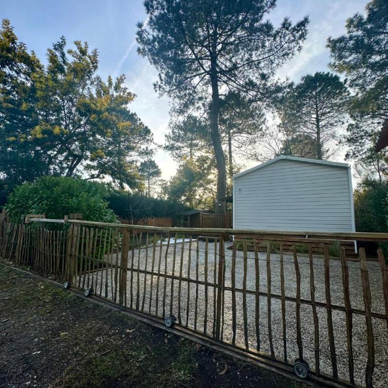 Lodge 203 - Ó Pin Parasol - Camping La Forge 4 - La Teste - Bungalow - 51