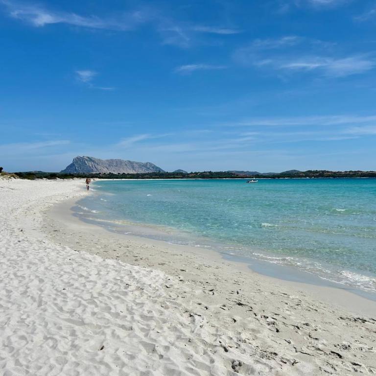 ISS Travel, Apartment 4 beds with garden in San Teodoro just 700 mt from la Cinta Beach - Appartamento con 1 Camera da Letto - 3
