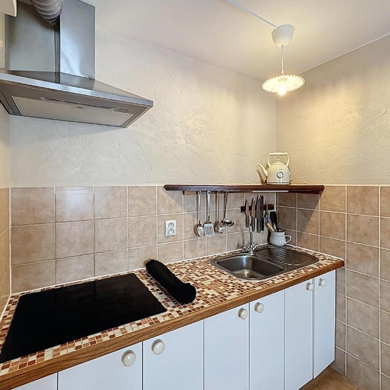 Lou Rayas - Studio-Apartment - 4
