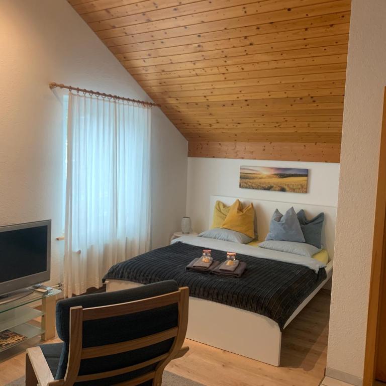Studio Central Grindelwald - Apartment mit 1 Schlafzimmer - 2