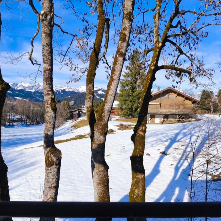 Stay in an ideal mountain chalet! - Appartamento - 1