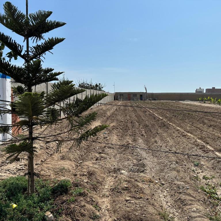 Casita de Campo y Relax con Piscina - One-Bedroom House - 16