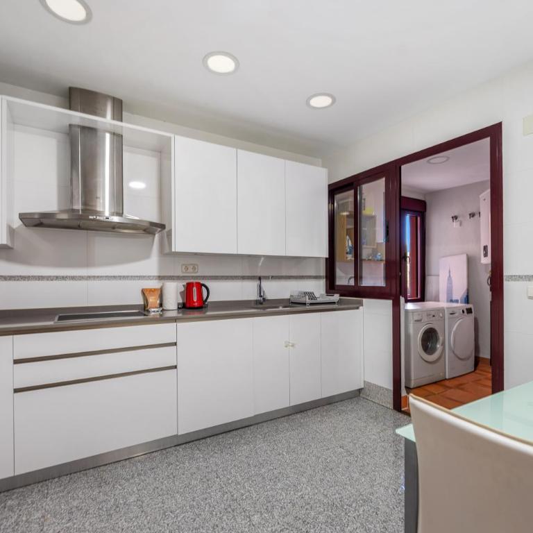 2b luxury in Beach Area new Golden Mile - Apartamento de 2 dormitorios con terraza - 21