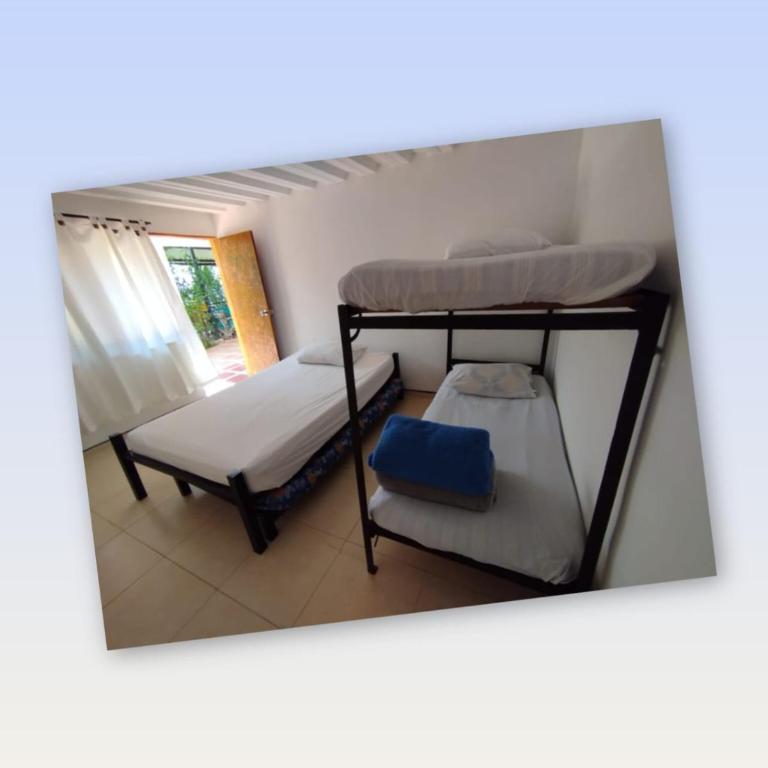 Mountain View Finca Campestre - Villa - 71