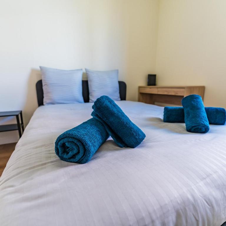 Spacieux T5 Toulouse nord - parking, fibre & calme - Apartment - 17