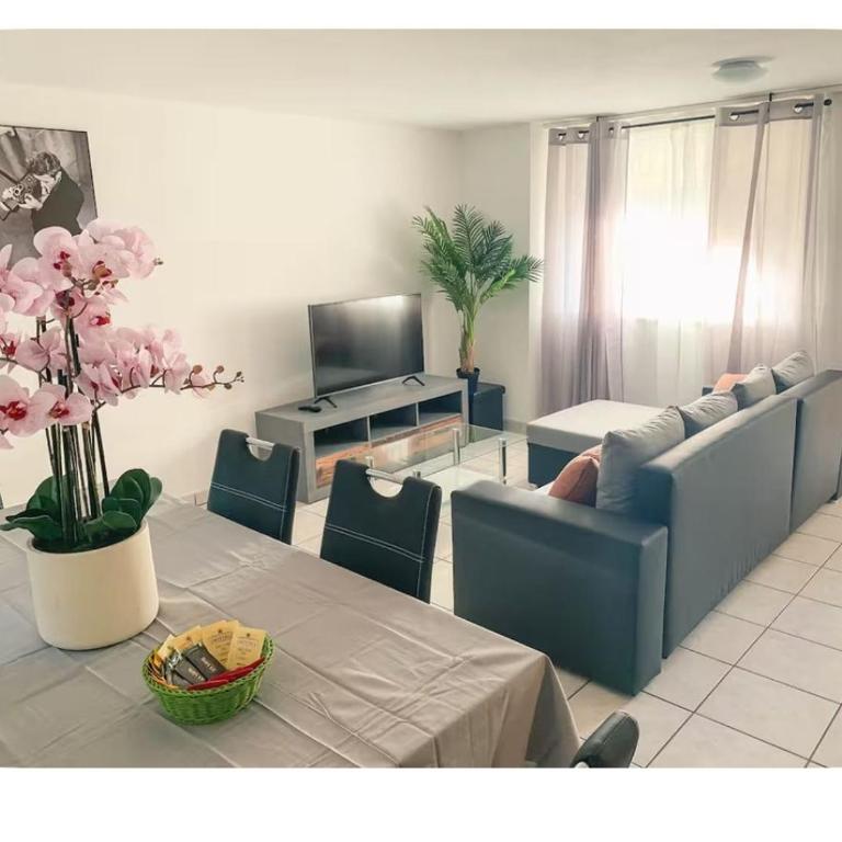 Locarno Centro Apartments - Apartamento de 2 dormitorios - 9