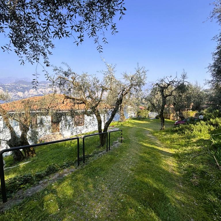Appartamento Belvedere 3 - Appartamento con 1 Camera da Letto - 28