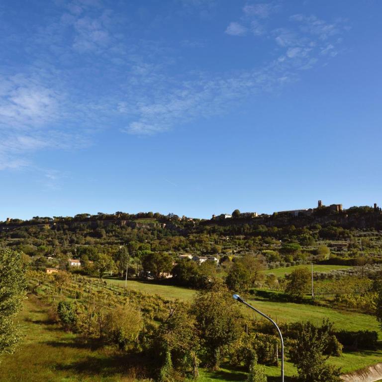 Casa Angolo delle Rose - Appartamento con Vista Giardino - 11