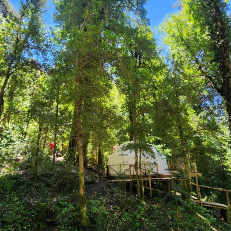 Glamping Pucón - One-Bedroom Apartment - 5