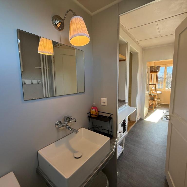 Uptown Apartments Interlaken free Parking - Appartamento con 2 Camere da Letto - 12