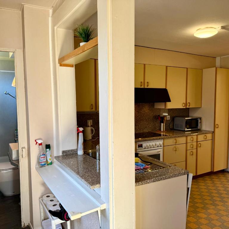 Uptown Apartments Interlaken free Parking - Appartamento con 2 Camere da Letto - 7