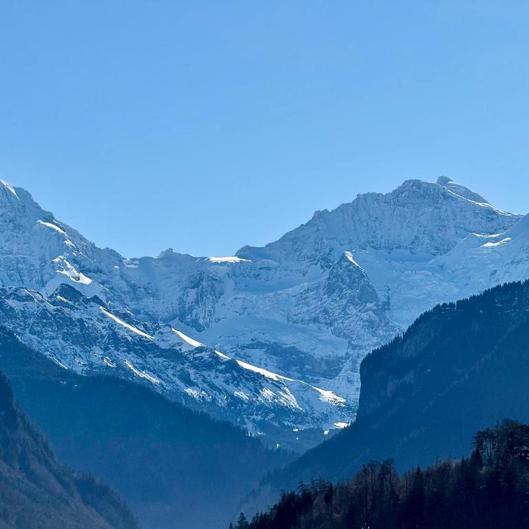 Uptown Apartments Interlaken free Parking - Appartamento con 3 Camere da Letto - 9