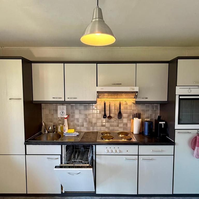 Uptown Apartments Interlaken free Parking - Appartamento con 3 Camere da Letto - 17