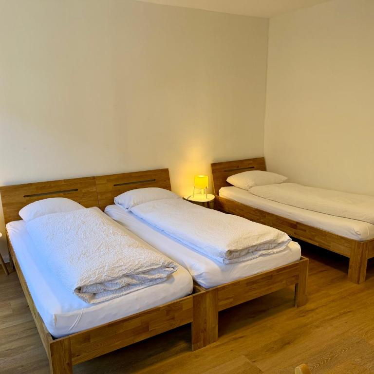 Downtown Apartments - Apartment Interlaken - 10
