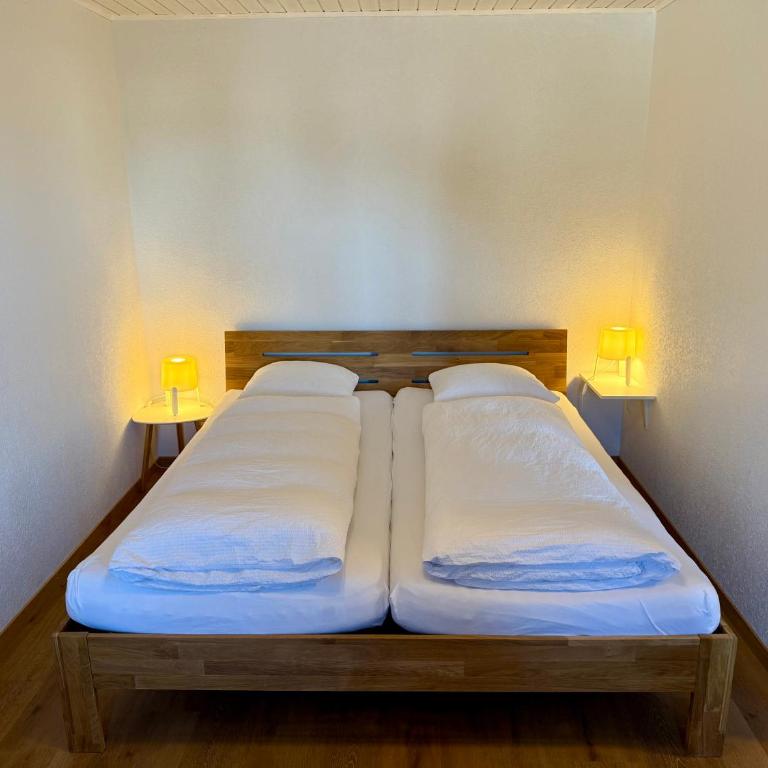 Downtown Apartments - Apartment Interlaken - 7