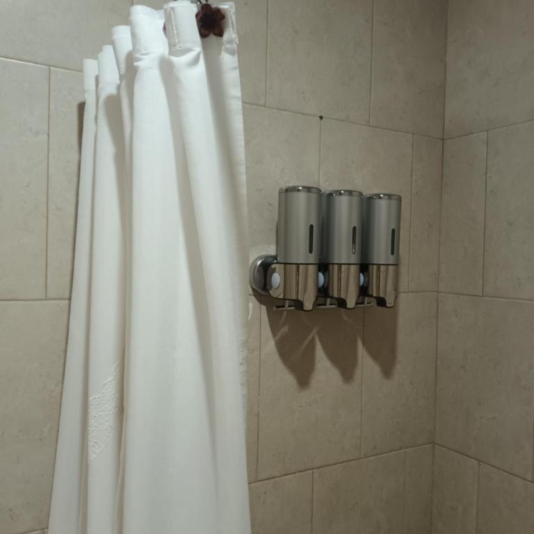 Mi Espacio en Gualeguaychú - Apartamento de 1 dormitorio con terraza - 10