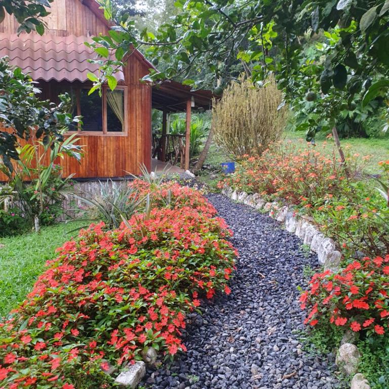 Finca Las Palmas Ecolodge - Family Bungalow - 2