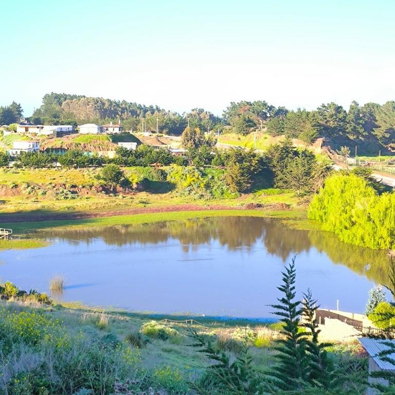 Espectacular casa en el corazon de punta de lobos - Three-Bedroom House - 23
