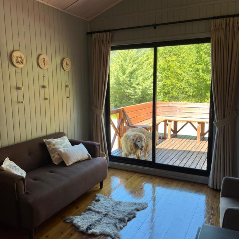 Cascada Malalcahuello, ex madre natura - Three-Bedroom Chalet - 3