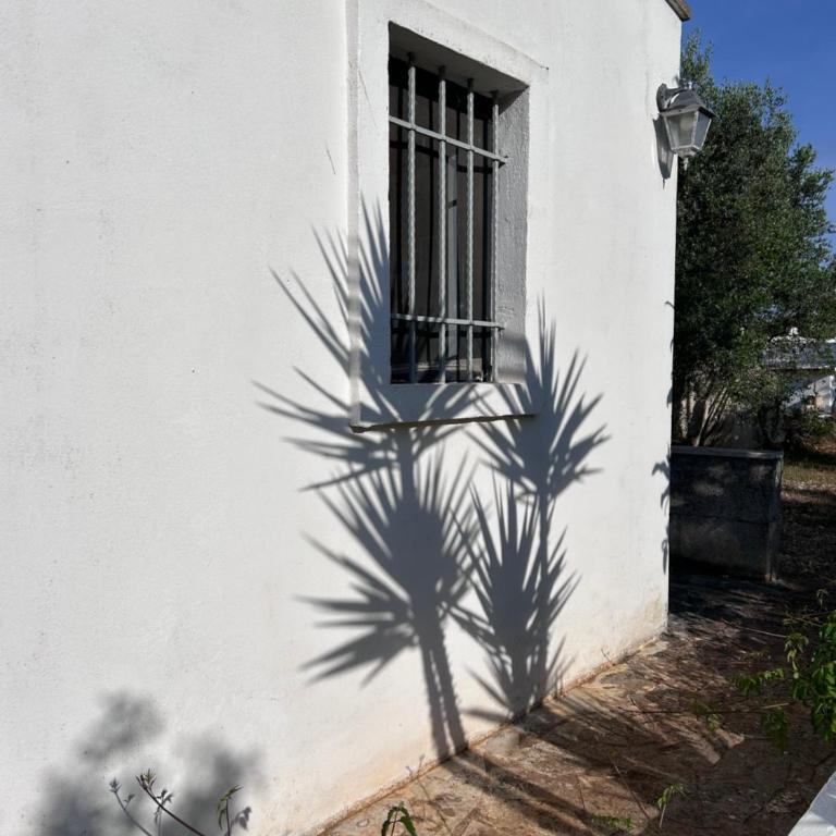 trullo Giardino Sotto La Luna - Casa con 3 Camere da Letto - 17