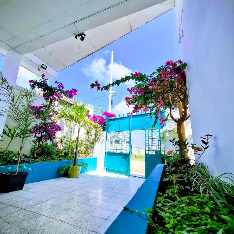 Suite Milina Jardín Privado cerca del Mar - Two-Bedroom Suite - 25