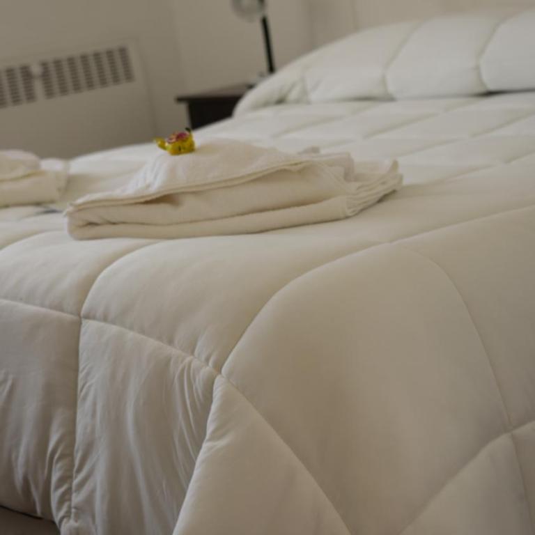 Aguas del Monte Hotel SPA - Suite Estándar - 3