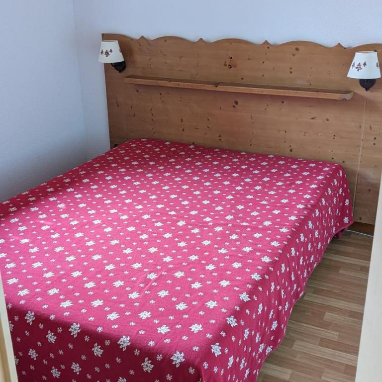 Appartement 3 pieces 6 personnes, 2 chambres, wifi fibre gratuit, piscine l'été et au pied des pistes l'hiver - Appartement 2 Chambres avec Vue sur la Montagne - 14