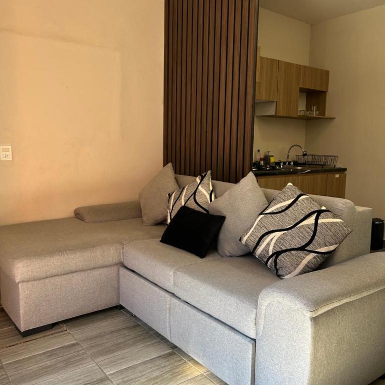 Loft oros - Apartamento de 1 dormitorio - 17