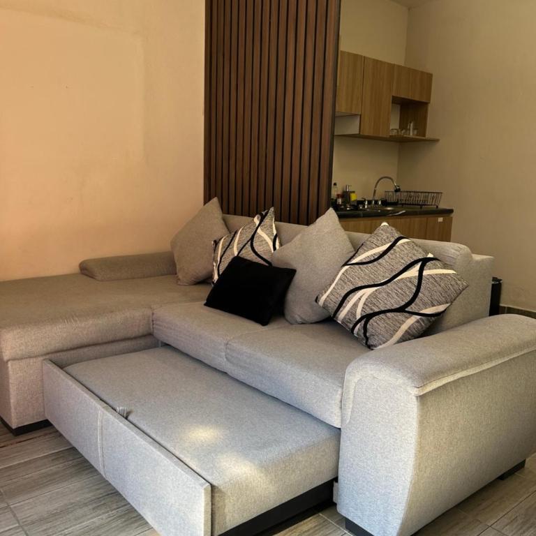 Loft oros - Apartamento de 1 dormitorio - 18