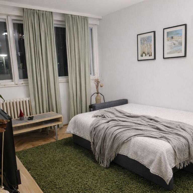Block #3 - Standard Apartman sa Dve Spavaće Sobe - 6