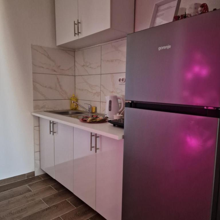 Apartmani Milica Banja Luka - Apartman sa Balkonom - 5