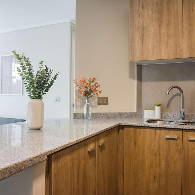 Stylish 2BR in Santiago with Balcony 5 guests - Apartment - 27