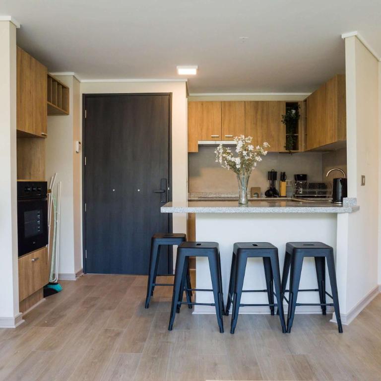 Bright 2D2BR Santiago Apartment Near Attractions - Apartment - 2