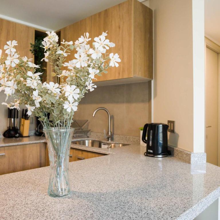 Bright 2D2BR Santiago Apartment Near Attractions - Apartment - 25
