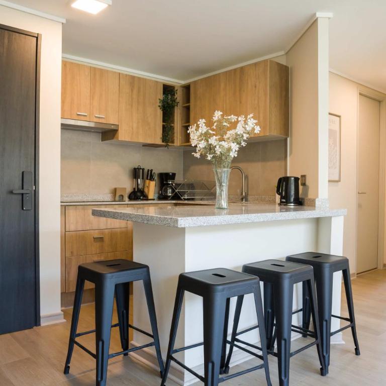 Bright 2D2BR Santiago Apartment Near Attractions - Apartment - 24