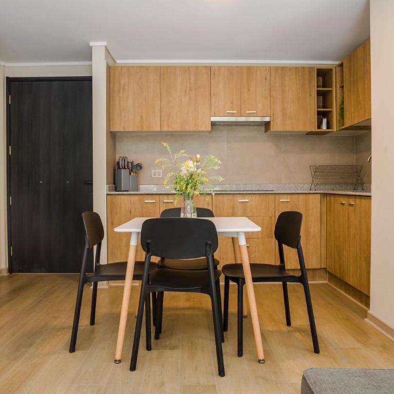 Modern 2BR2BA Apartment in Downtown Santiago - Apartment - 13