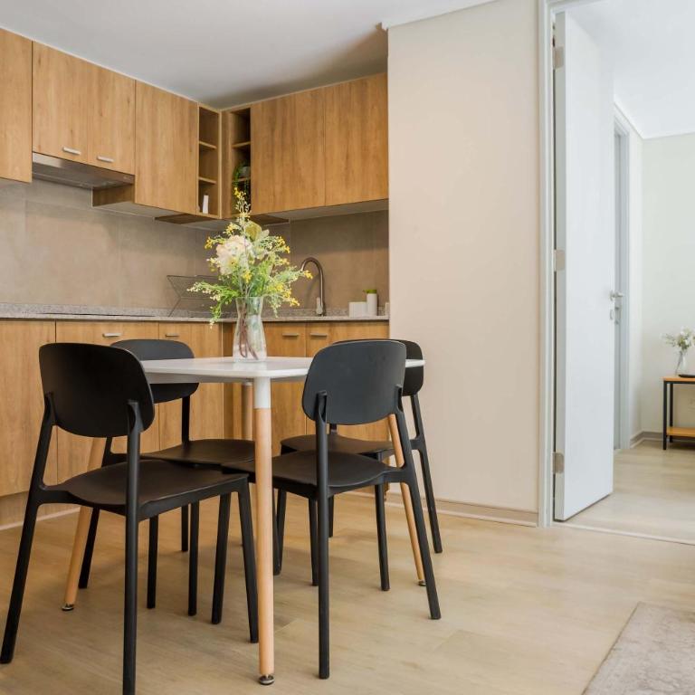 Modern 2BR2BA Apartment in Downtown Santiago - Apartment - 16