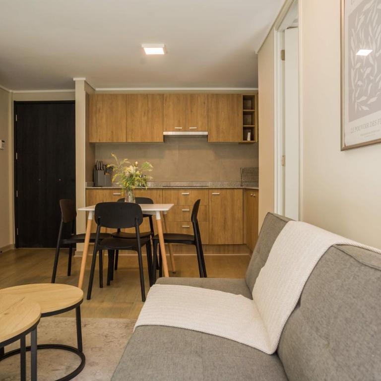 Modern 2BR2BA Apartment in Downtown Santiago - Apartment - 20