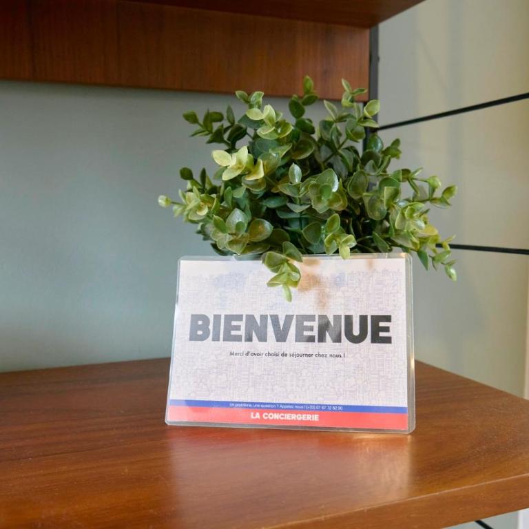 Lille Gares - Duplex avec parking - Apartment - 21