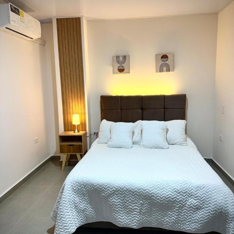 Amazonía Luxury Loft 203 - One-Bedroom Apartment - 5
