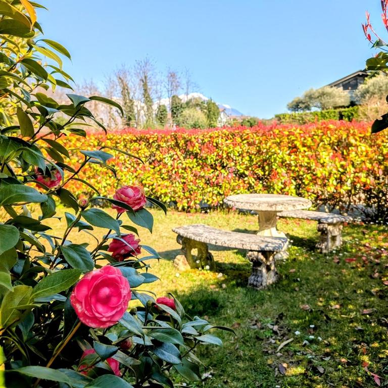 Appartamento Via Filatoio 9 - Appartamento con 1 Camera da Letto e con Giardino - 10