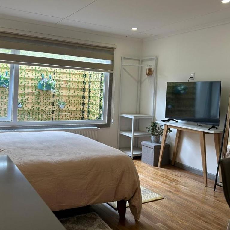 Next Door - One-Bedroom Apartment - 13