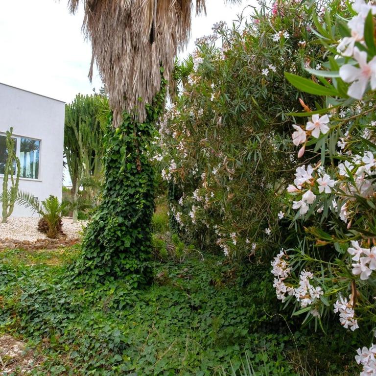 Holiday Home in Mazara del Vallo - Casa Vacanze con 3 Camere da Letto - 20