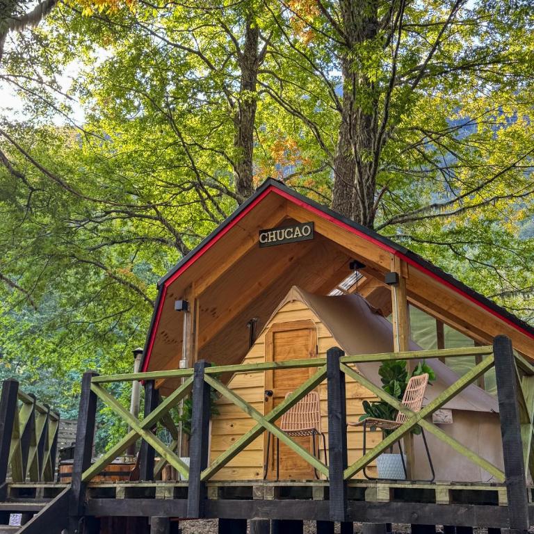 Casa del Árbol - Glamping - Double Room with Park View - 3