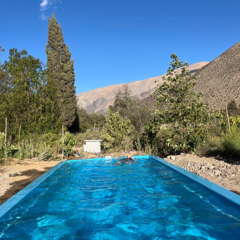 VALLE DEL ELQUI,Diaguitas, Vicuña - Three-Bedroom House - 4
