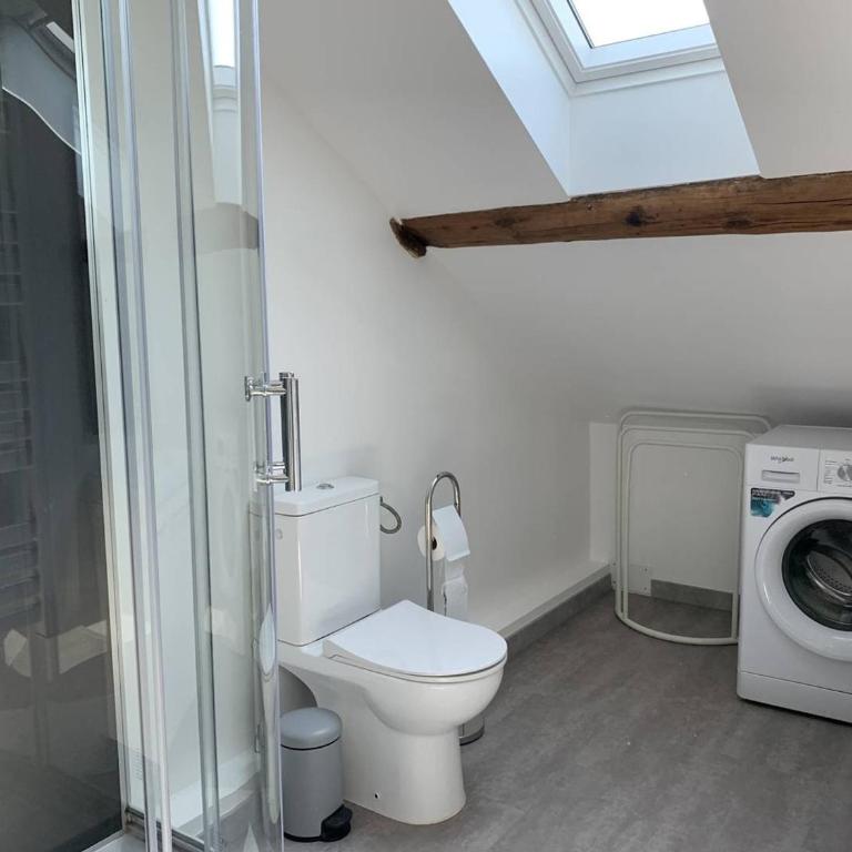 Duplex lumineux à Reims - 2 chambres, moderne et confortable - FR-1-870-12 - Appartamento - 20