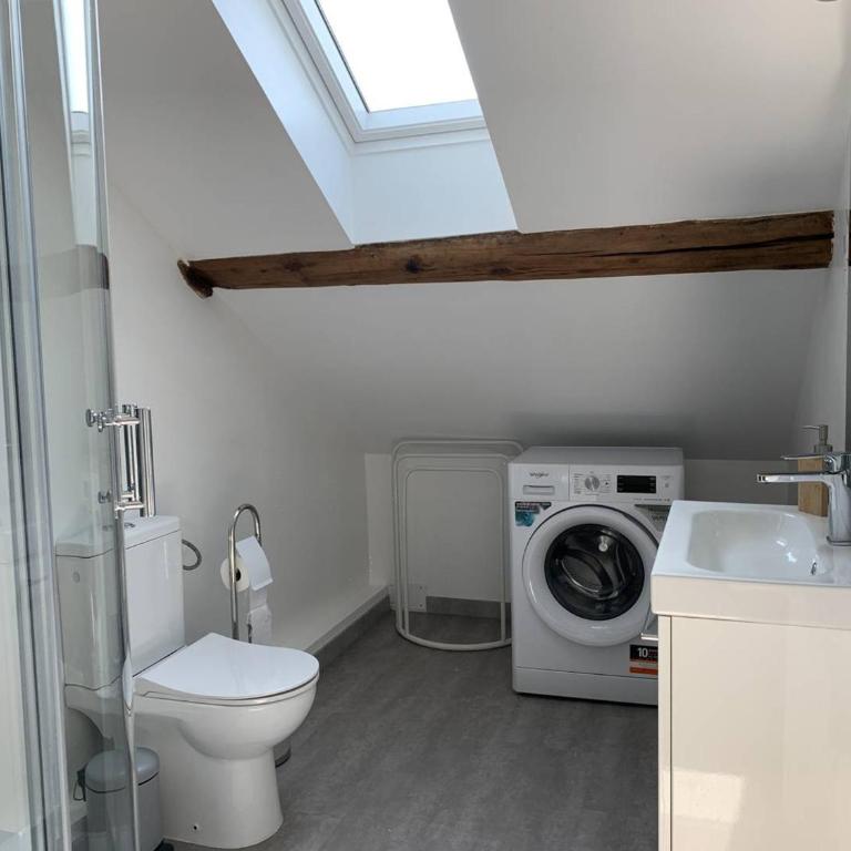 Duplex lumineux à Reims - 2 chambres, moderne et confortable - FR-1-870-12 - Appartamento - 21