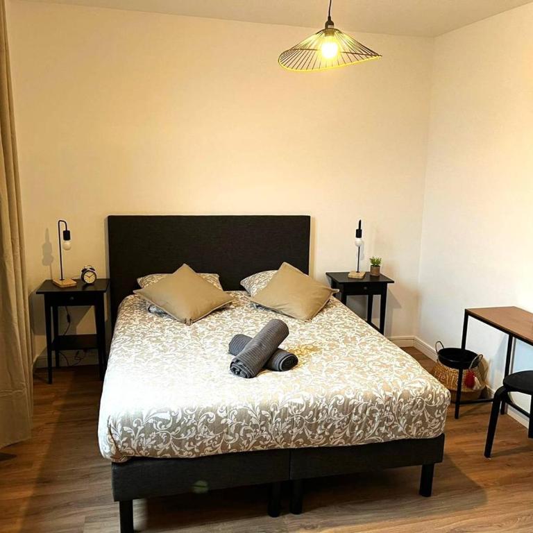 Charmant T2 à Reims, parfait pour couples ou professionnels - FR-1-870-18 - Appartamento - 2