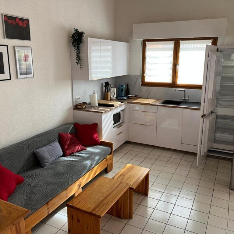 Appartement calme proche centre-ville - 4 pers. - FR-1-413-266 - Apartment - 3