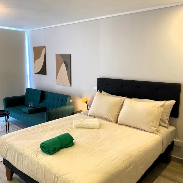 Condominio Beauchef 1916 - Studio Apartment - 1